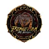 Tavinho Penetrapitkennel