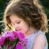 user27323171247862