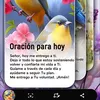 seramadayrespetad