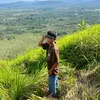 fhai.tzy