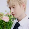 yeuthuonghdq