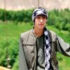samar.sharifi