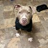 aubs.backup2