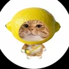rieviewdo