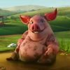conkbackupacc