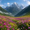 nemeth_arnolth_adrian
