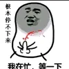 lananhhoang2701