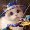 mnd_skizo