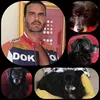 amo gli animali!❤️