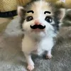 hawng.lqnnw