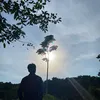 thin.jaly