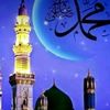 user4744703125248