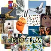 bellanorris2
