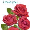 lakshitha.thilina6