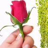 .liqa3