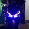 nedi721