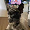 maksimknez_9