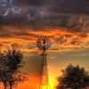mark.scherber