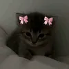 little.flowerrr.45673