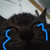 tuangtuuu