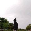 kelvin.k47