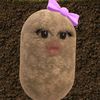 xyz_siska.0