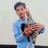 asfaq.gujjar.8012