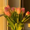 umlo.ru