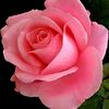 princessarishah01