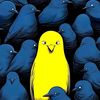 aicha.aicher