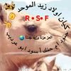 user9272195486050