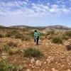 adrenadhd