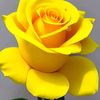 yeilin.garcia94