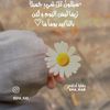 abdollah.almhmoud
