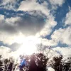 orne_2023
