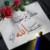user8047388511497