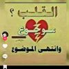 user229524732449