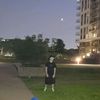 gab_desm1
