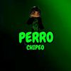 perro_chipeo