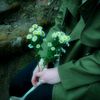 kholoud.ahmed388