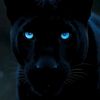 black_panter_12340