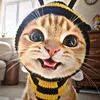 venus_the_editor16