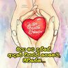 user3630828308210