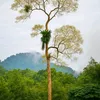 php.nguyn404