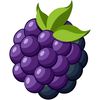 frutita.morita