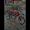 reza03545