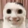 duyhienn123