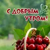 user9520093216709