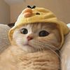 funny.pets.daiju