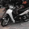 capcap295